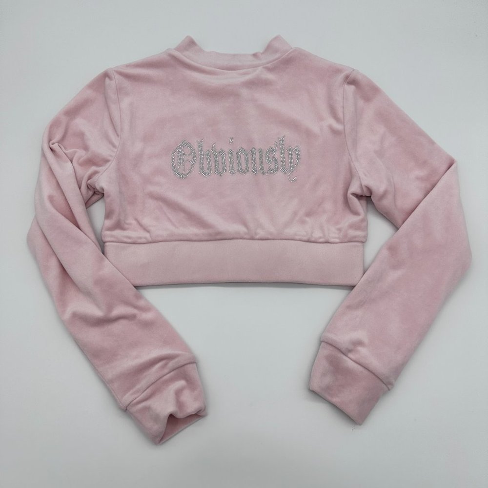 Meshki 2000s Cropped Velour Zip up